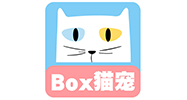 box猫宠 仰望星空